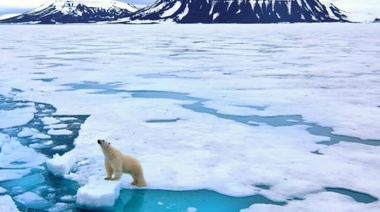 El Ártico entrega nueva evidencia del cambio climático