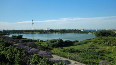 Humedales de la Ciudad de Buenos Aires: cómo ayudan a mitigar las altas temperaturas durante esta ola de calor