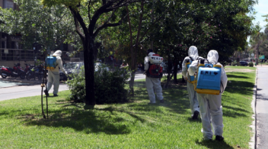 Se declaró el brote de dengue en La Plata