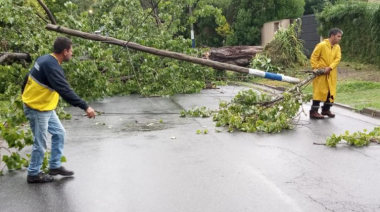 La Plata alcanzó los 198 mm de agua caída: informe sobre el fenómeno meteorológico en cada barrio