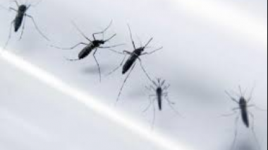 Dengue en Argentina: hospitales colapsados y legisladores pidien al Gobierno que se coloque al frente de la situación