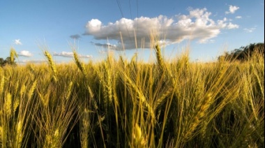 El 70% de los productores necesitará vender más de la mitad de su producción para afrontar los costos de la campaña 2023/24