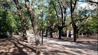 El frío extremo está dando un respiro en La Plata