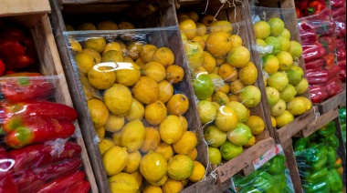 En mayo volvió a subir la canasta alimentaria platense (verduras por las nubes)