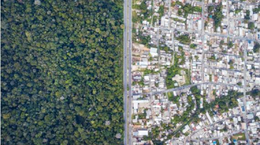 Brasil lanza plan contra crimen en selva amazónica para preservar el bioma