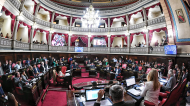 Senado bonaerense: PRO, UCR, LLA y PRO Libertad repudiaron de manera contundente el fraude de Maduro en Venezuela