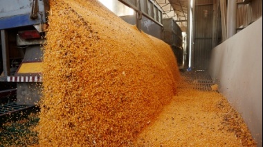 "Los productores argentinos de soja cobramos la mitad que en otros países vecinos"