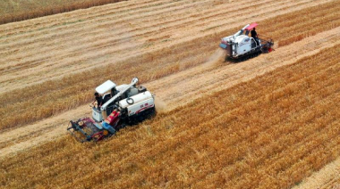 Se mantiene la confianza de los productores, aunque con una caída importante en las expectativas para los próximos 12 meses