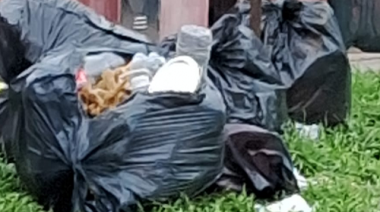 Vecinos de Los Hornos están “hartos” por la suciedad en las calles, y la falta de atención en la delegación