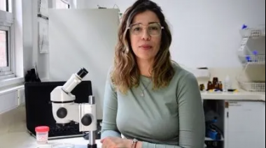 Cómo las moscas y otros insectos ayudan a resolver casos policiales