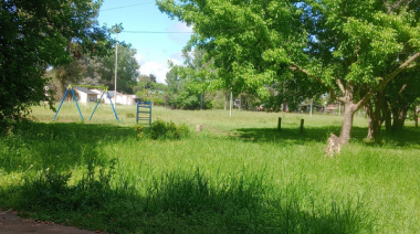El dengue amenaza en La Plata, pero en El Peligro hay una plaza con pastizal