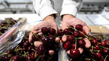 Frutas sudamericanas aceleran su acceso a mercado chino