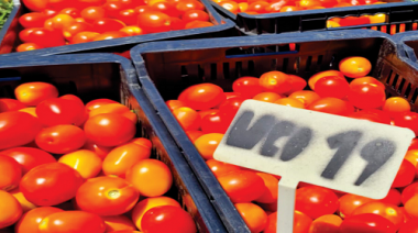 Productores del oeste platense: caminos detonados, inseguridad y hasta tomates chilenos