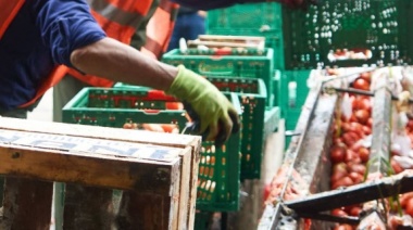 Reducción de pérdidas y desperdicios en Mercados mayoristas