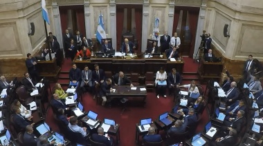 El Senado convirtió en ley la suspensión de las PASO