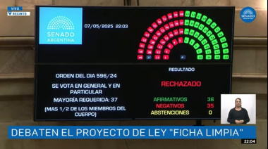 El Senado rechazó Ficha Limpia, y el tema podrá ser de alto voltaje político