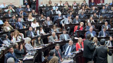 El Congreso marca límites: Milei pierde la pulseada por la Ley de Discapacidad