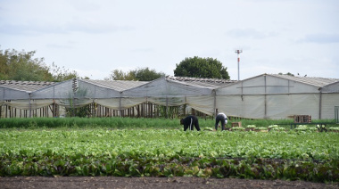 Completaron el Relevamiento Florihortícola Platense 2025