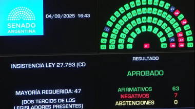 Senado obliga a Milei a promulgar ley de discapacidad: votación contundente de 63 a 7