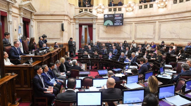 Nuevo revés para el Gobierno en el Congreso: el Senado rechazó el veto presidencial a la ley de los ATN