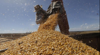 Retenciones cero por un rato: el campo, otra vez fuera del negocio