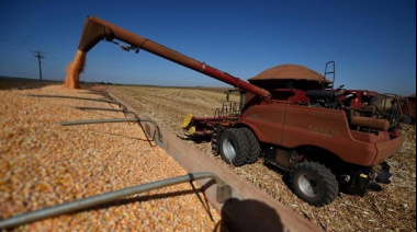 Brasil prevé expansión agrícola para la cosecha 2025-2026