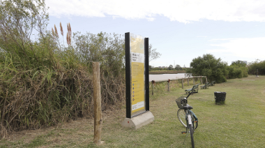 Ciudades en red: Buenos Aires comparte estrategias de adaptación climática en el Subgrupo de Resiliencia de G-NETS