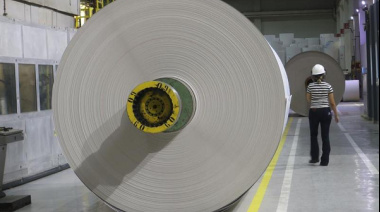 Enorme mercado chino permite explorar modelos de producción sostenible a gigante papelero brasileño