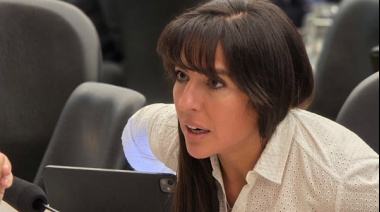 En Diputados, la UCR tendrá una expresión testimonial: seis legisladores