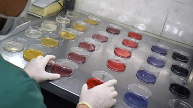 La urgencia de controlar el agua en Buenos Aires ante la presencia de arsénico