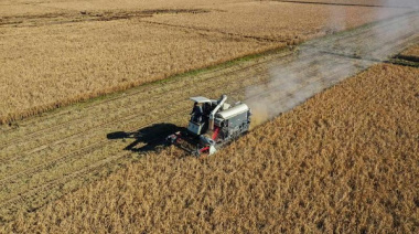 Producción de cereales de China supera 714 millones de toneladas en 2025