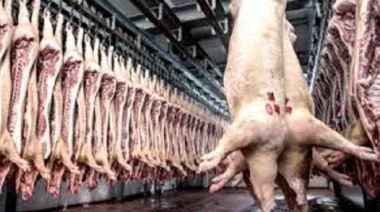 Carne con subas en noviembre y ventas en caída en el tercer trimestre: la economía platense en crisis