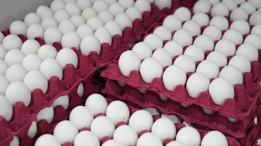 El Mercado Bonaerense Fijo La Plata presenta combos, ofertas y promocione