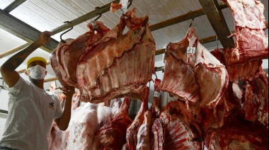 Brasil bate récord en exportaciones de carne bovina