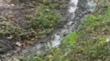 Vecino de Gonnet es intimado por la Municipalidad luego de denuncias vecinales por instalar portón y alambrado sobre curso de agua