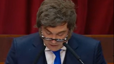 Milei en el Congreso: "La malaria se terminó, la sociedad se inoculó contra el populismo"