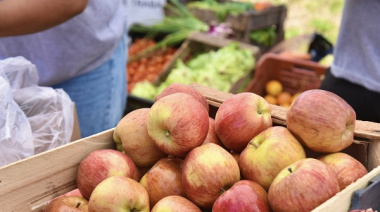 Nuevas oportunidades de ahorro en el Mercado Bonaerense Fijo de La Plata