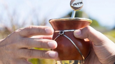 Crisis de la yerba: el consumo cae un 9% y registra su peor febrero en 5 años