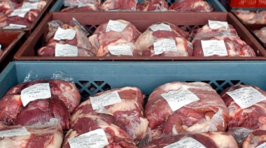La carne impulsó la suba de alimentos en La Plata: aumentó un 6,2% durante el último mes