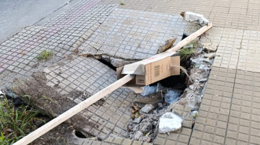 Radiografía del abandono urbano: con más de 4.000 reclamos, las calles y las luminarias lideran las quejas en La Plata