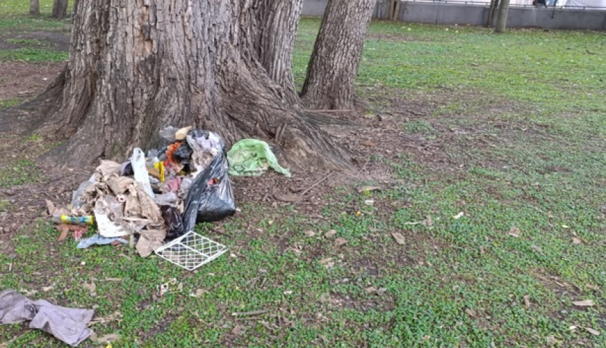 La Plata Reporta ya superó los 1.000 reclamos y expone el vacío de gestión de los concejales