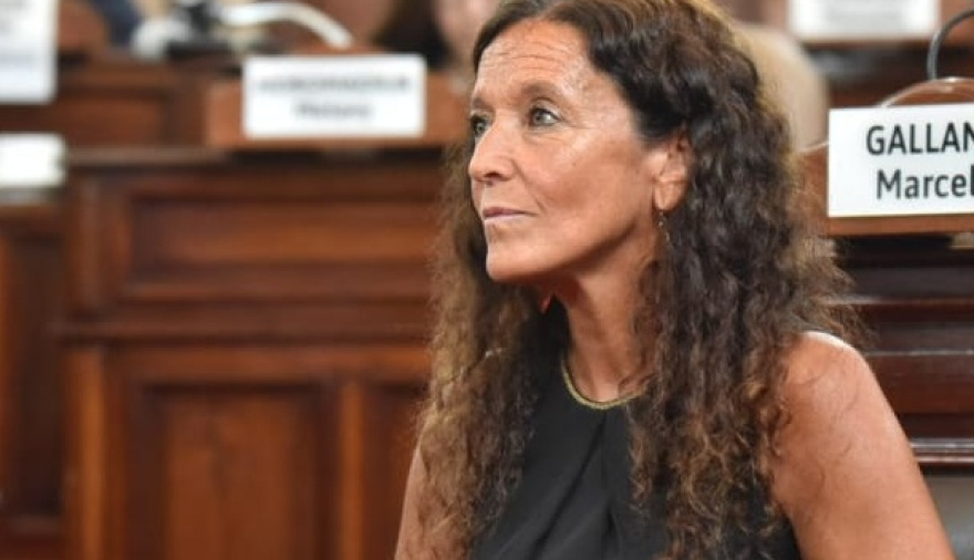 En La Plata, Defensora Ciudadana dijo que las empresas de transporte serán multadas