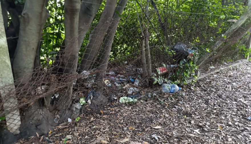 En pocas semanas, los reclamos vecinales en La Plata Reporta superaron los 2500