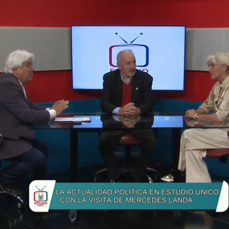 Pasó por la TV platense: ¿El legado de Carlos Menem se representa en el actual gobierno?