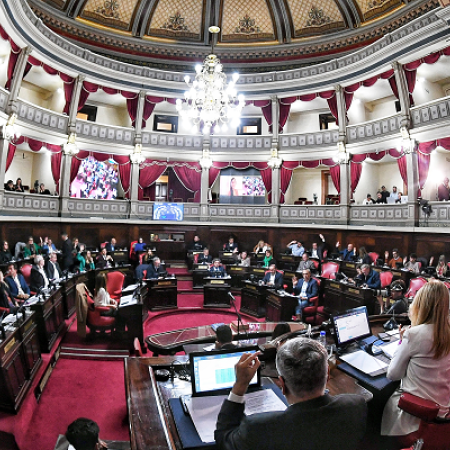 Senado bonaerense pedirá ampliación de plazos para oficializar listas y presentar modelos de boletas