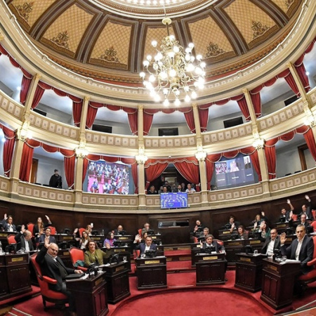 Escándalo en el Senado bonaerense: ¿es inválida la sesión que aprobó la re reelección de legisladores?