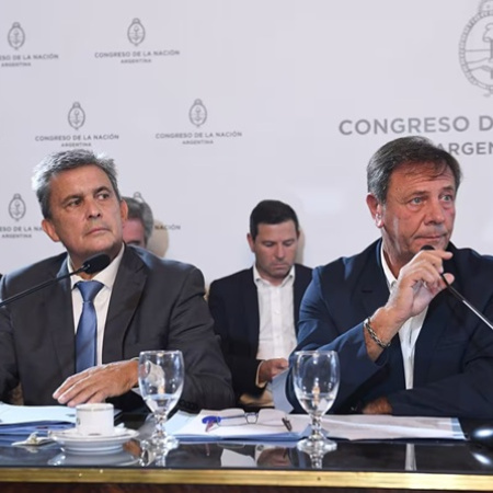 Desarrollistas no apoyarán el veto al aumento de jubilaciones, pero sí el de la moratoria previsional