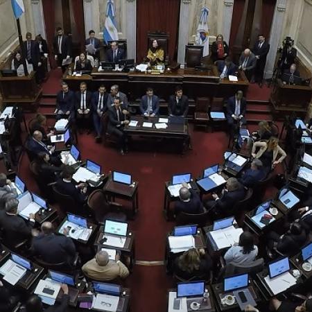 Amplia mayoría: el Senado convirtió en ley el presupuesto universitario