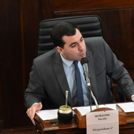 Piden informes sobre el estado de las plazas en La Plata: ¿no hay otras prioridades?
