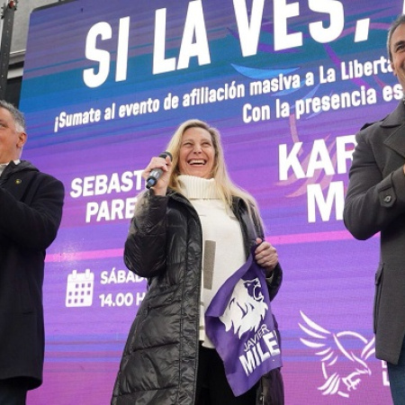 Analista sostuvo que el Milei no pudo sumar a los votantes de Juntos por el Cambio mediante el sello violeta
